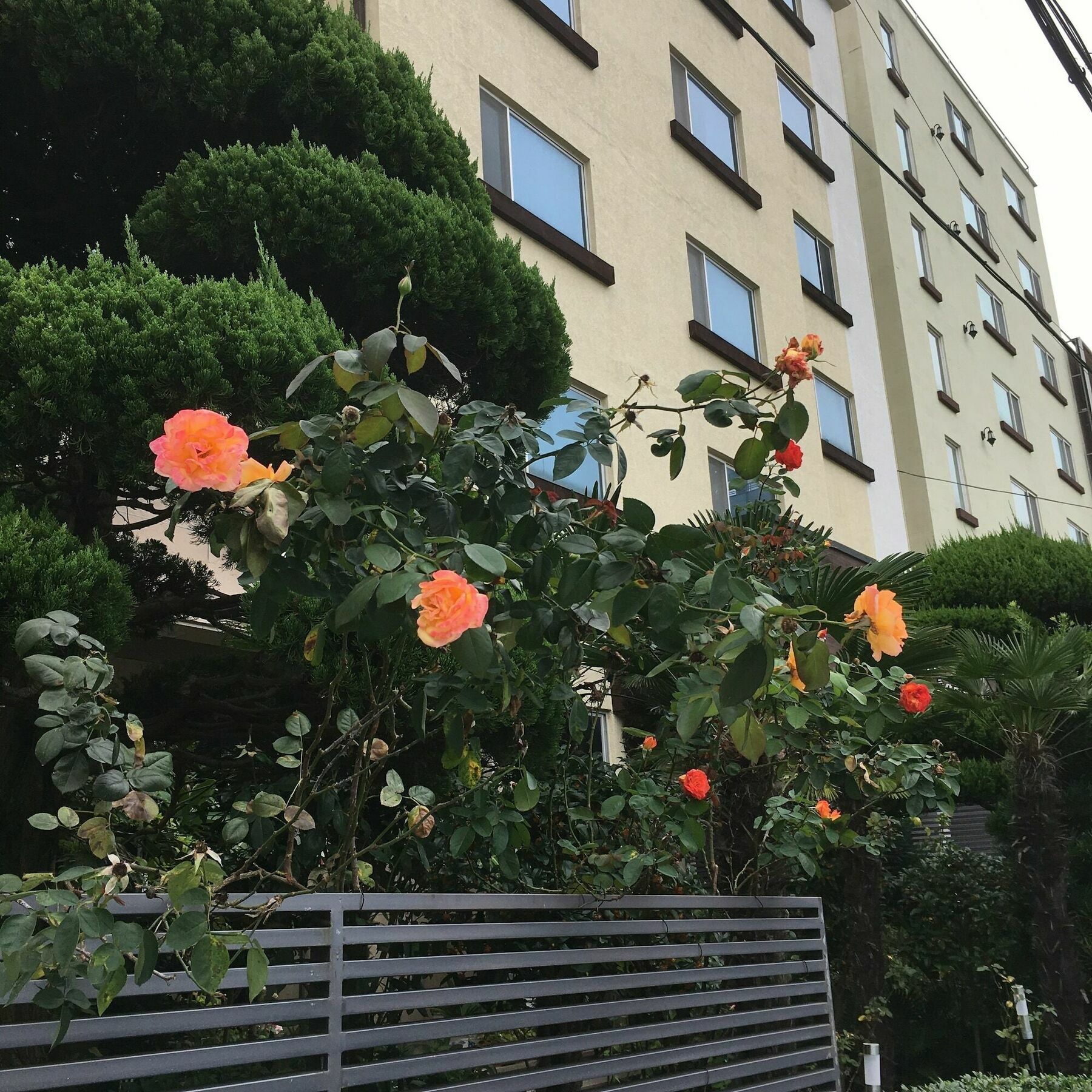 Charmant Hotel Mokpo Exterior photo